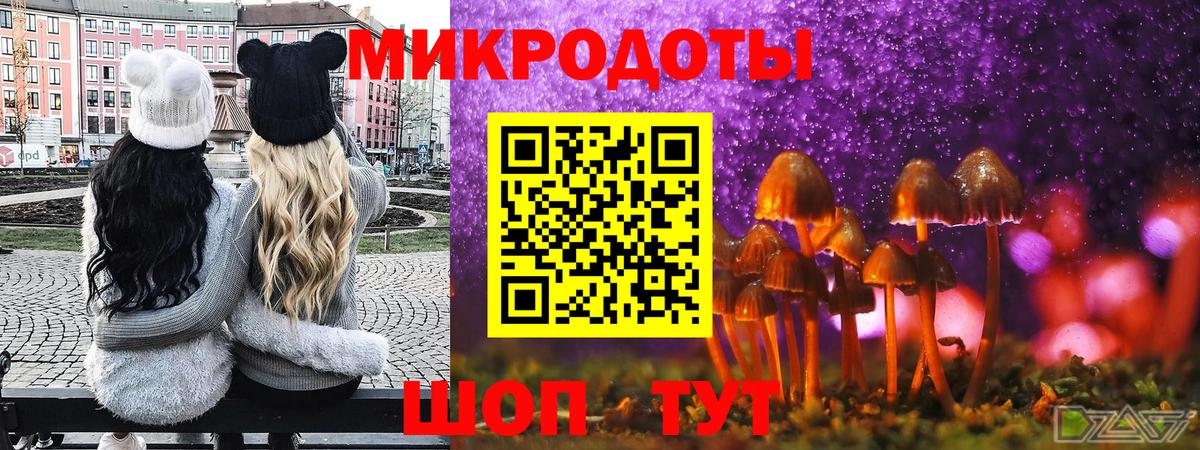 где можно купить   Псилоцибиновые грибы мицелий  Вход с VPN  Баксан 